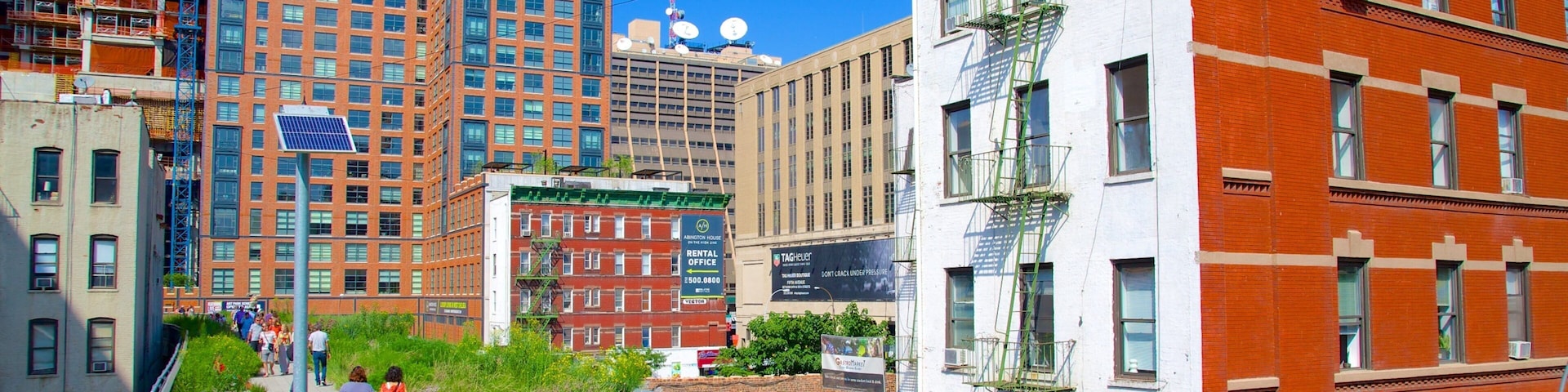 The High Line Park featuring a city