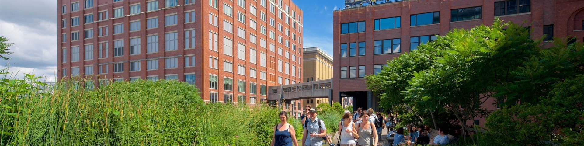 The High Line Park