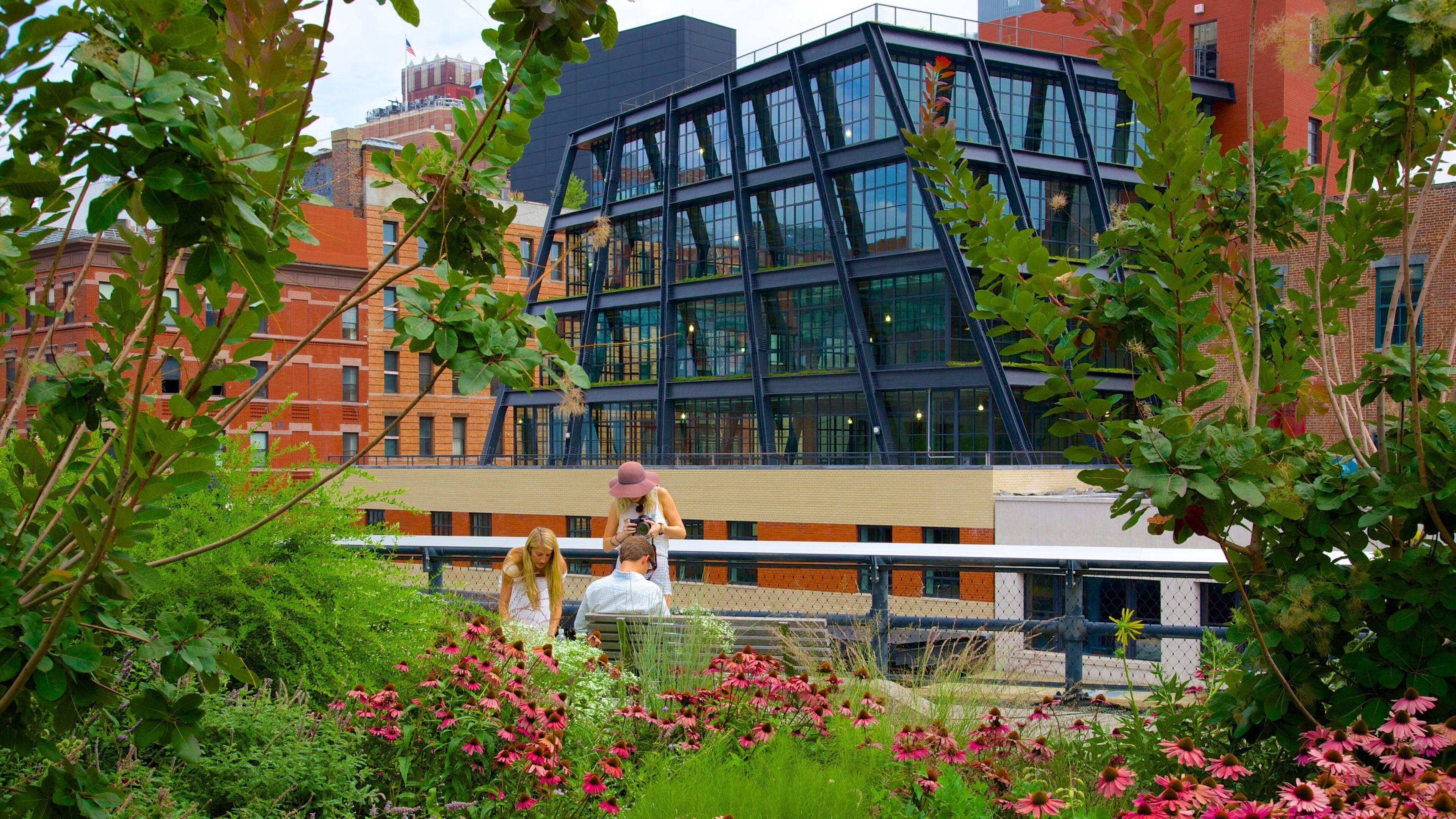 The High Line Park showing a park as well as a small group of people