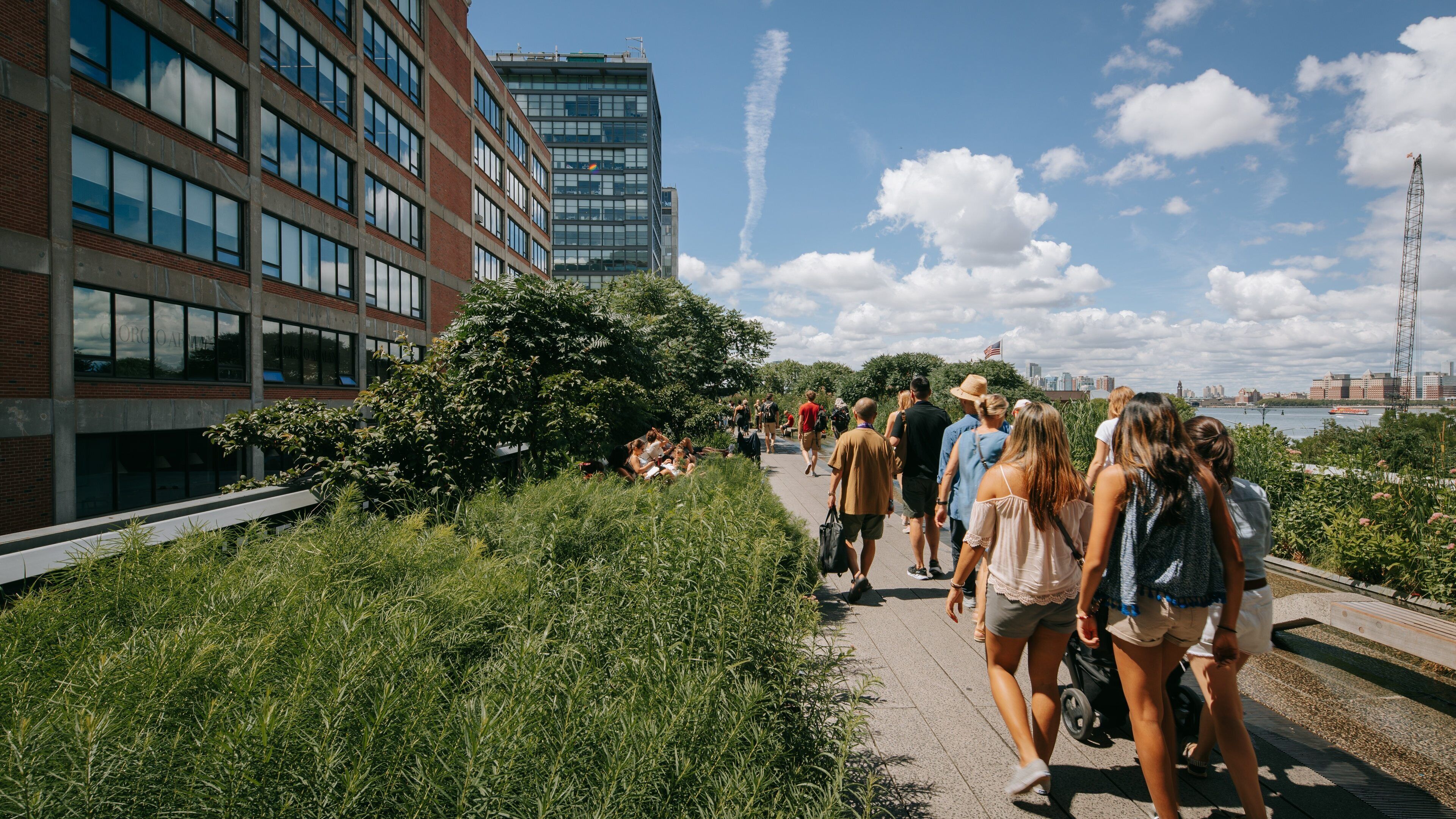 The High Line Park featuring a garden