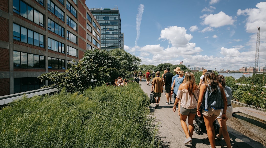 The High Line Park featuring a garden