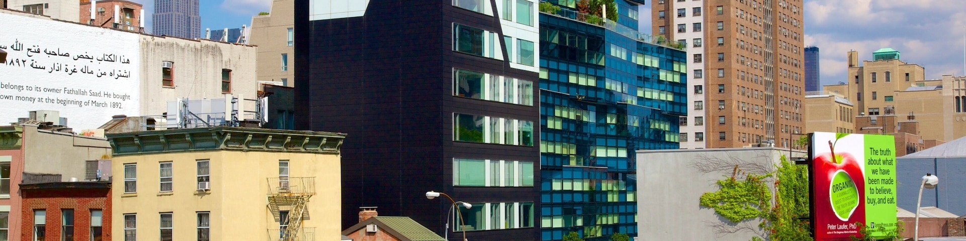 The High Line Park showing a city