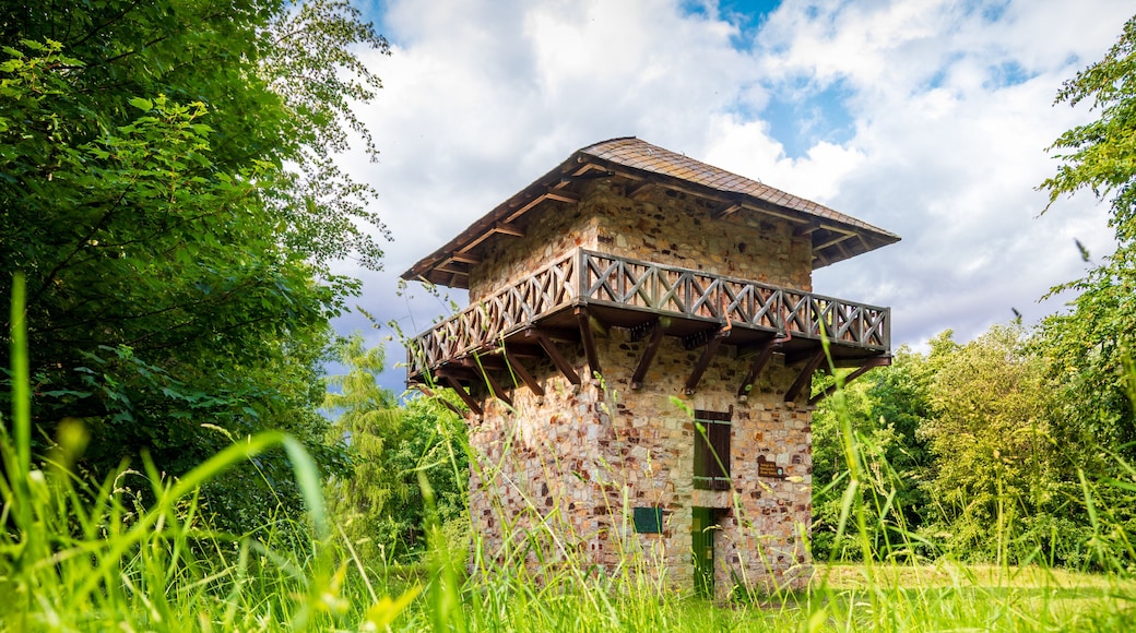 Taunusstein