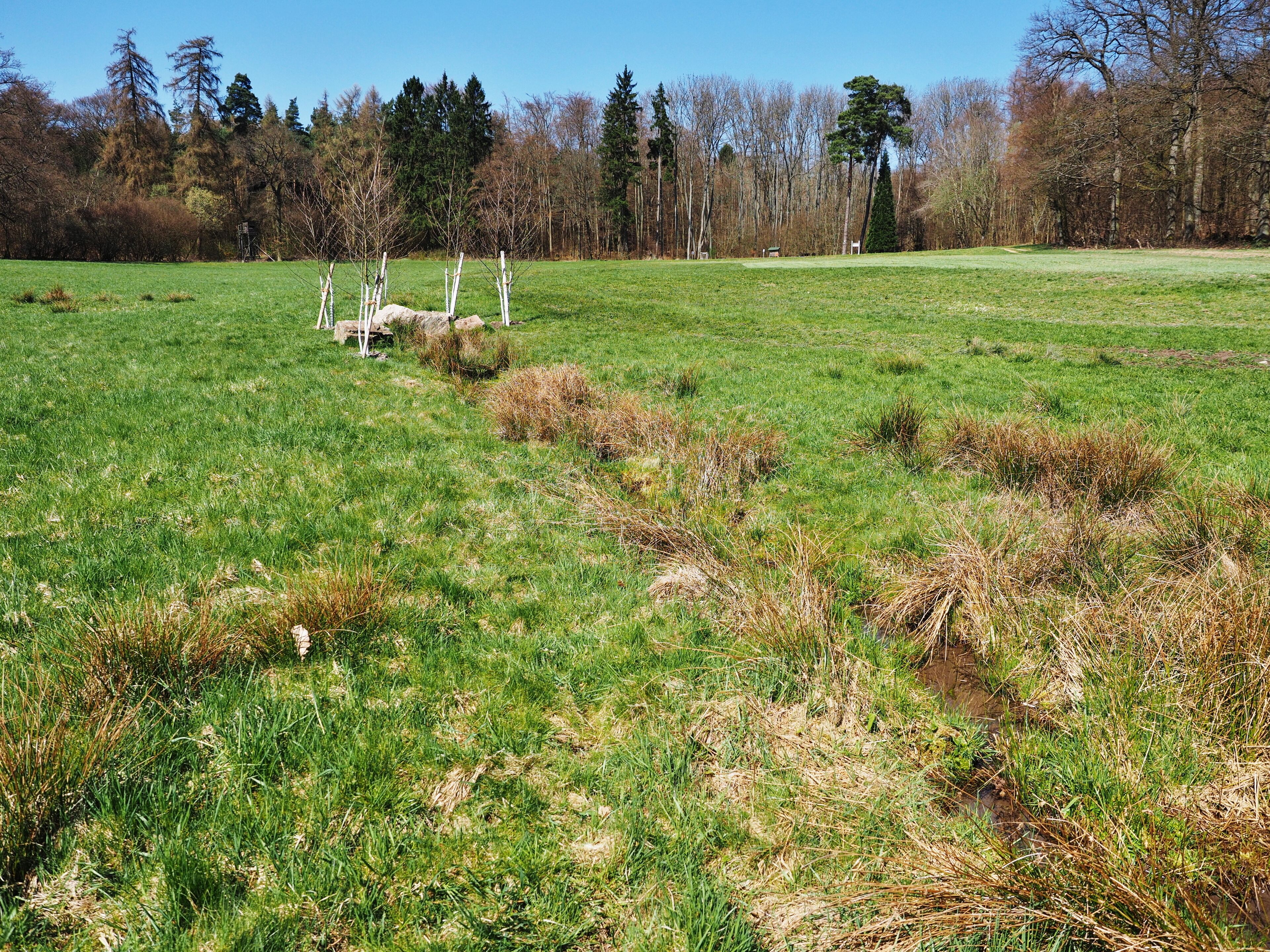 Aar spring, Taunusstein, Germany