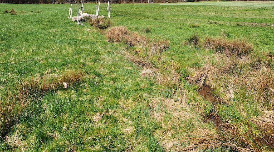 Aar spring, Taunusstein, Germany