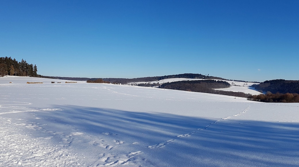 Winterlandschaft, Taunus, Taunusstein