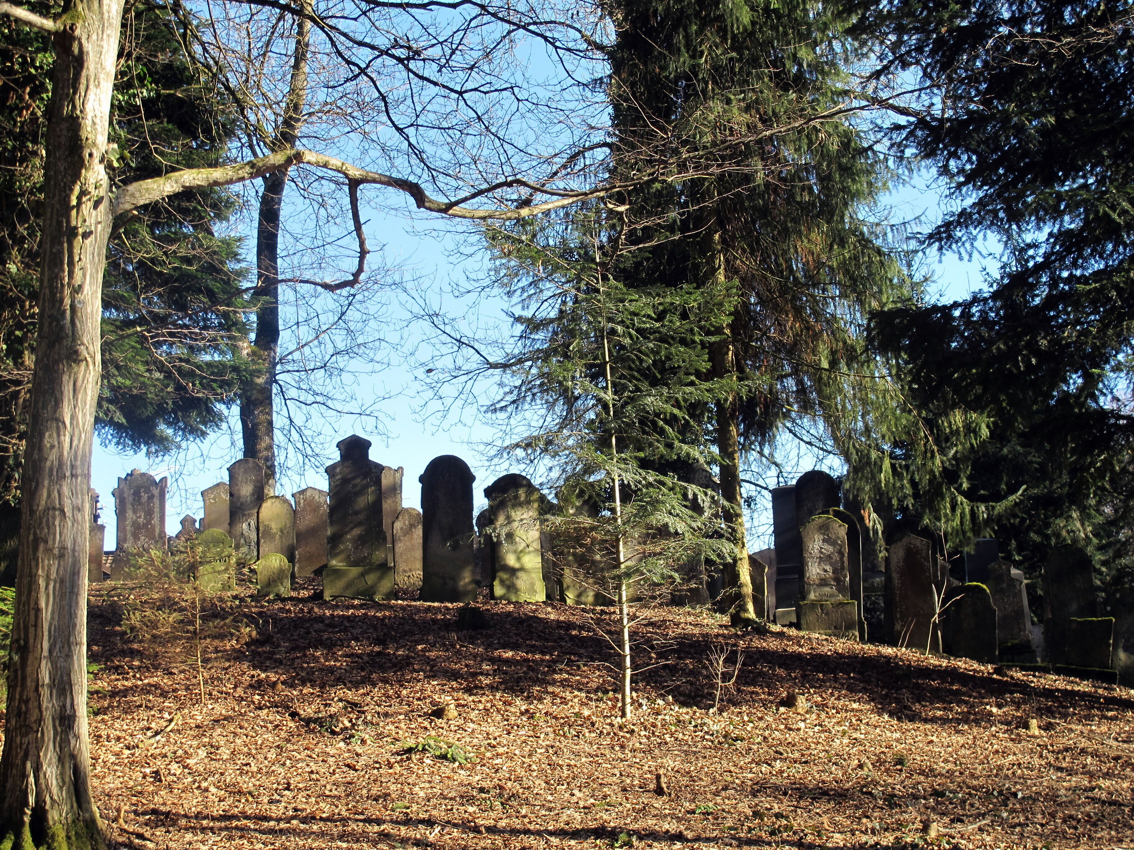 Jüdischer Friedhof für Altenstadt und Illereichen