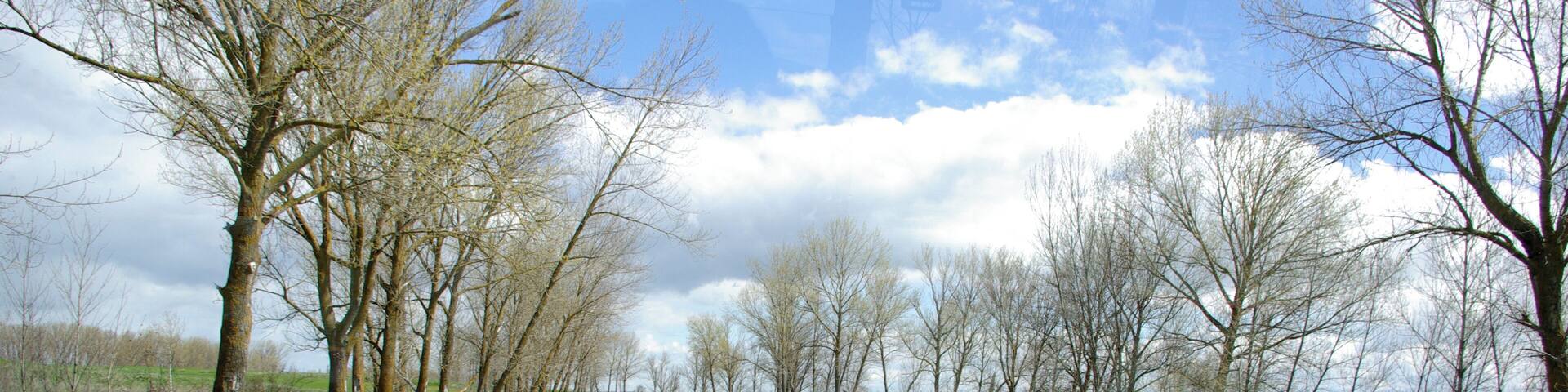Canal de Castilla near Medina de Rioseco (Valladolid, Spain)
