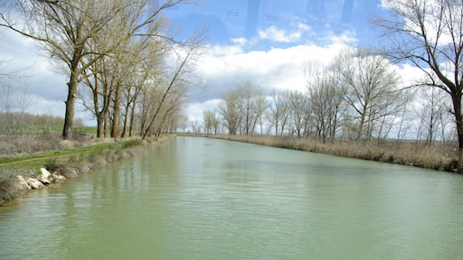 Canal de Castilla near Medina de Rioseco (Valladolid, Spain)