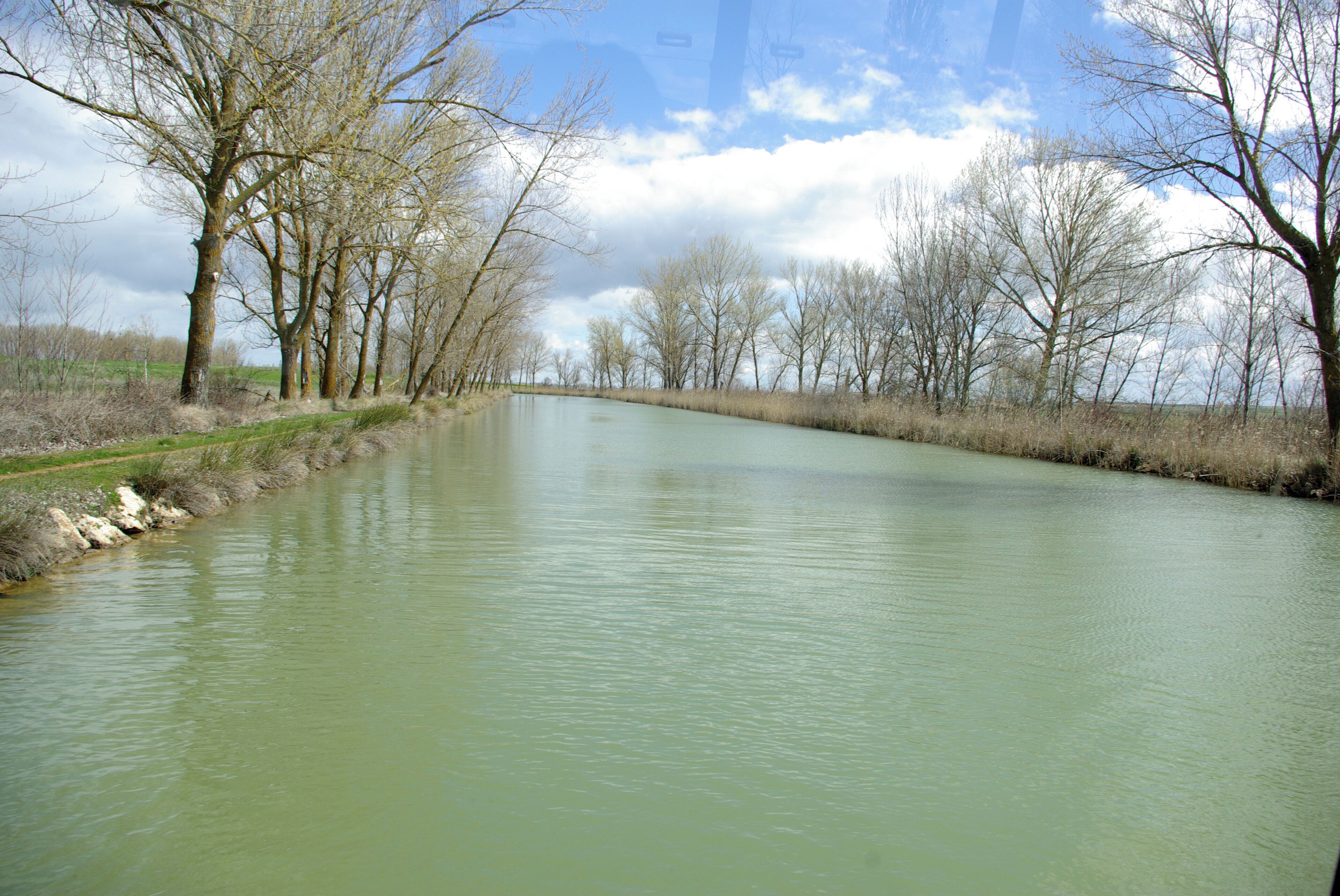 A calm river with leafless trees lining the banks.