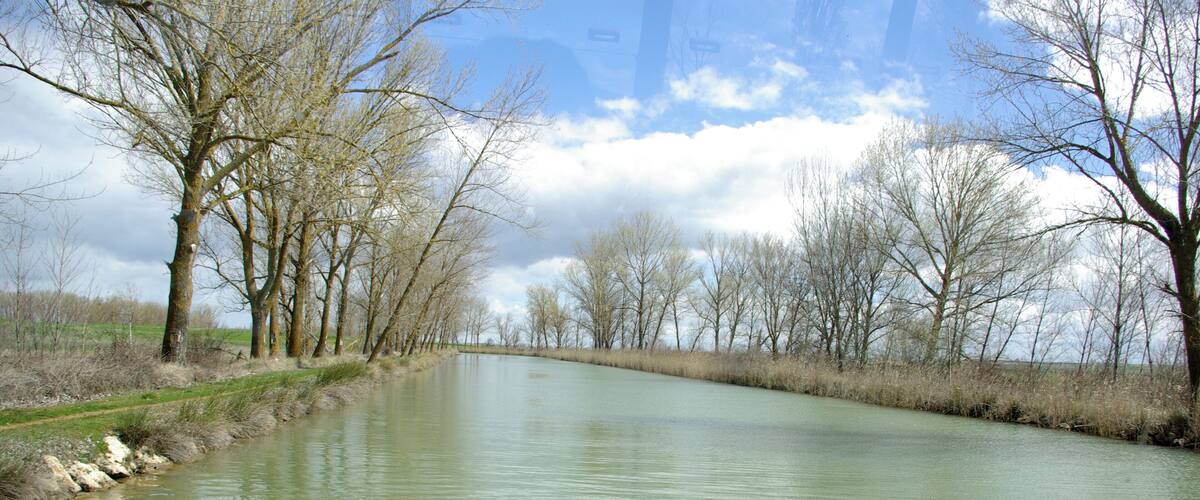 A calm river with leafless trees lining the banks.