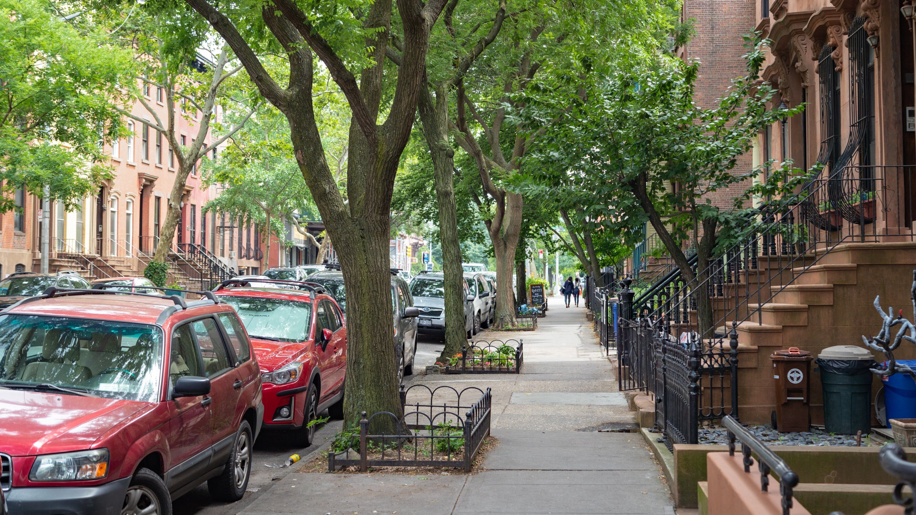 Fort Greene which includes street scenes