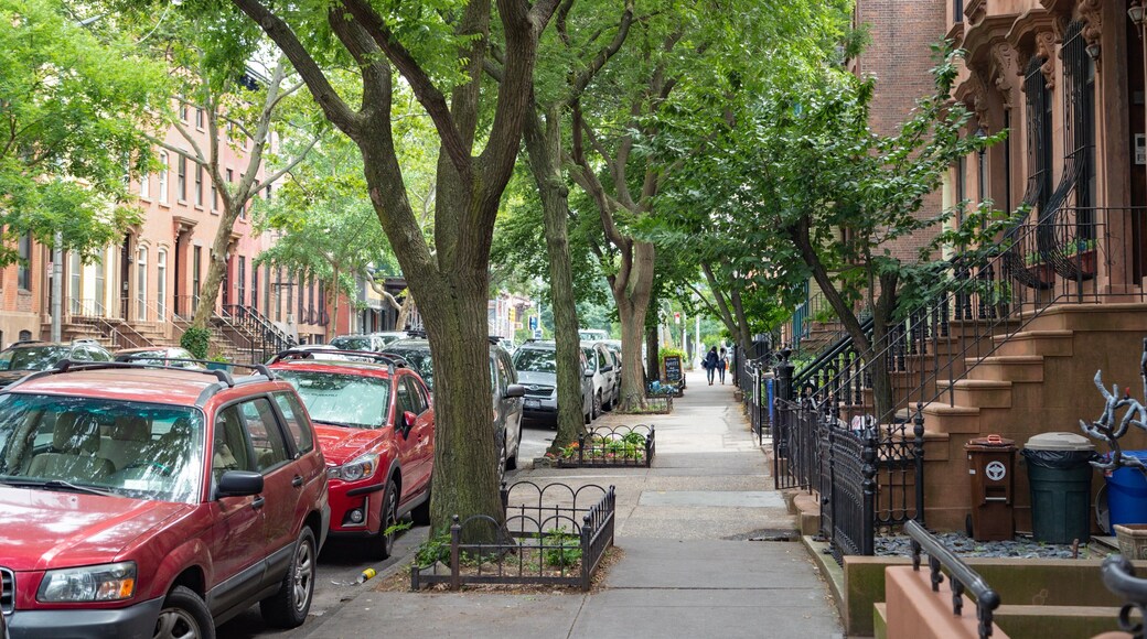 Fort Greene which includes street scenes