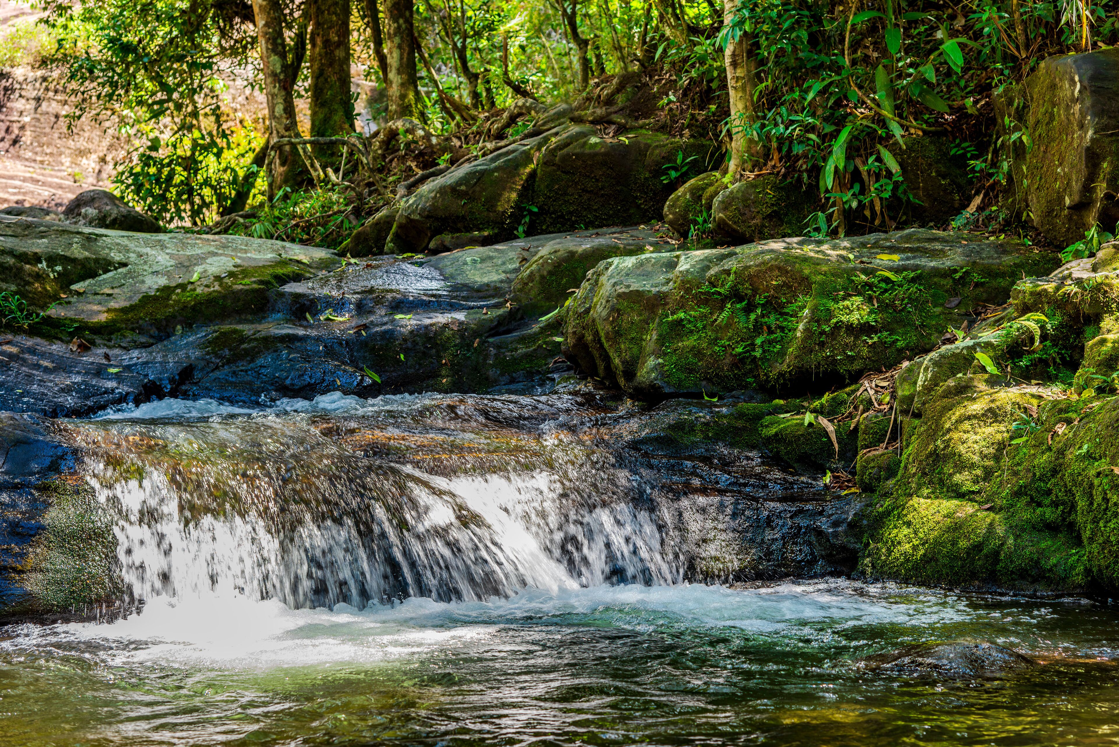 River and small waterfall inside the vegetation of preserved rainforest of Itatiaia park in Rio de Janeiro