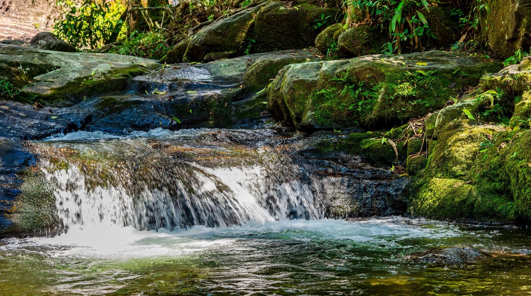 River and small waterfall inside the vegetation of preserved rainforest of Itatiaia park in Rio de Janeiro