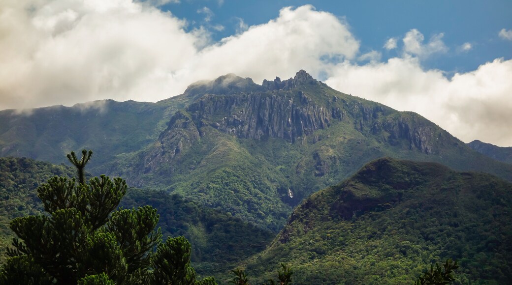 Penedo