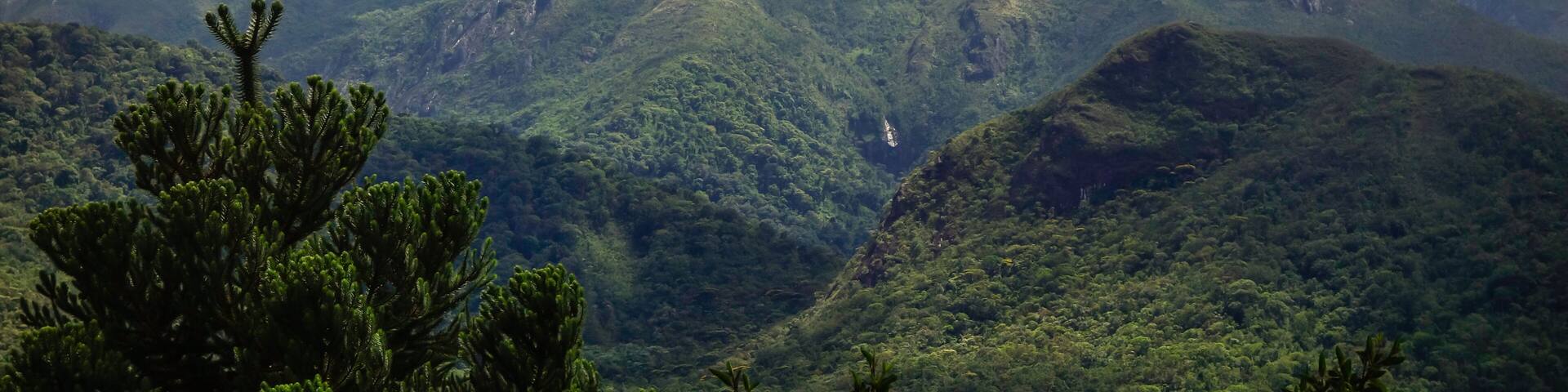 A mountain with dense green vegetation and a clear sky with clouds.