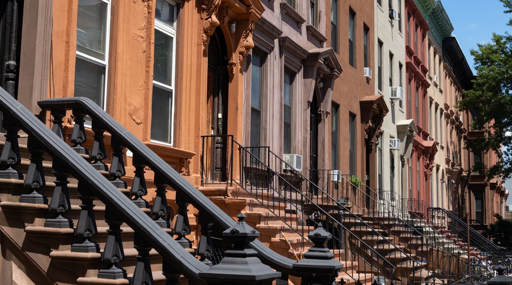 Row of Old Brownstone Homes in Bedford-Stuyvesant in Brooklyn of New York City with Staircases