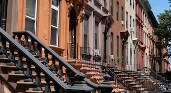 Row of Old Brownstone Homes in Bedford-Stuyvesant in Brooklyn of New York City with Staircases