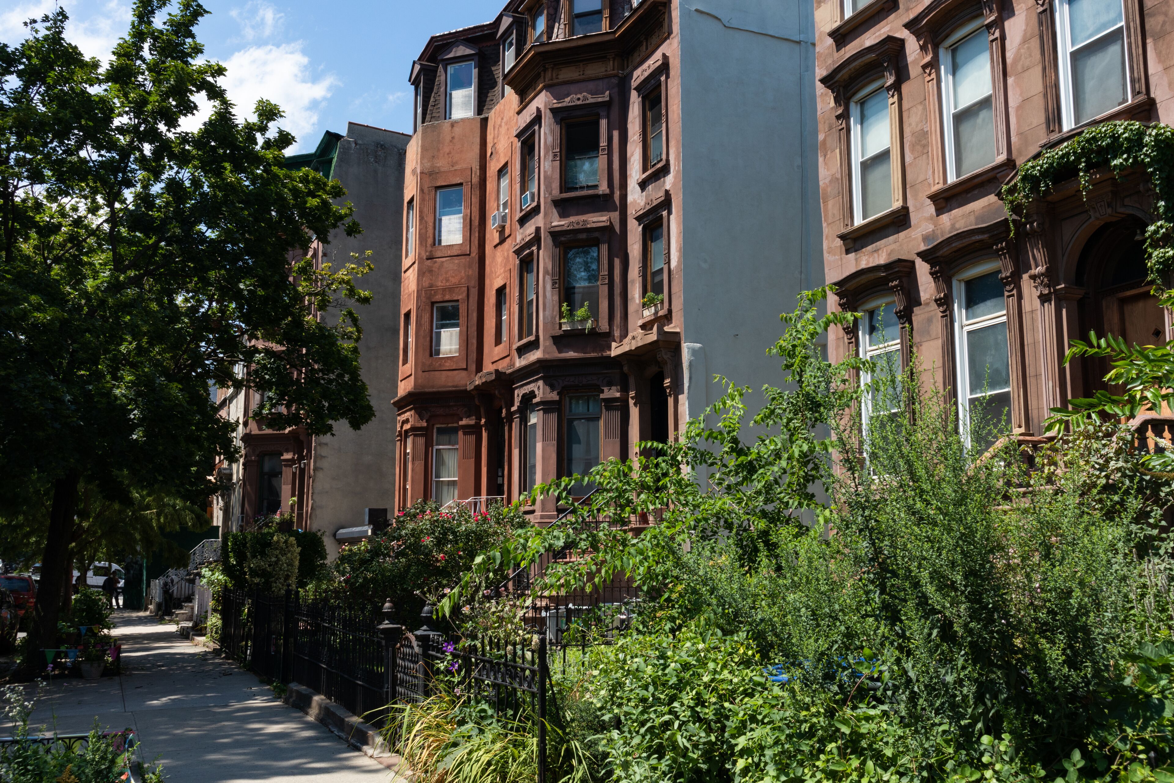 Row of Old Brownstone Homes in Bedford-Stuyvesant in Brooklyn of New York City along an Empty Sidewalk