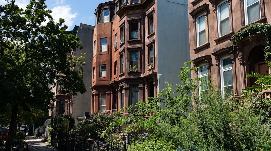 Row of Old Brownstone Homes in Bedford-Stuyvesant in Brooklyn of New York City along an Empty Sidewalk