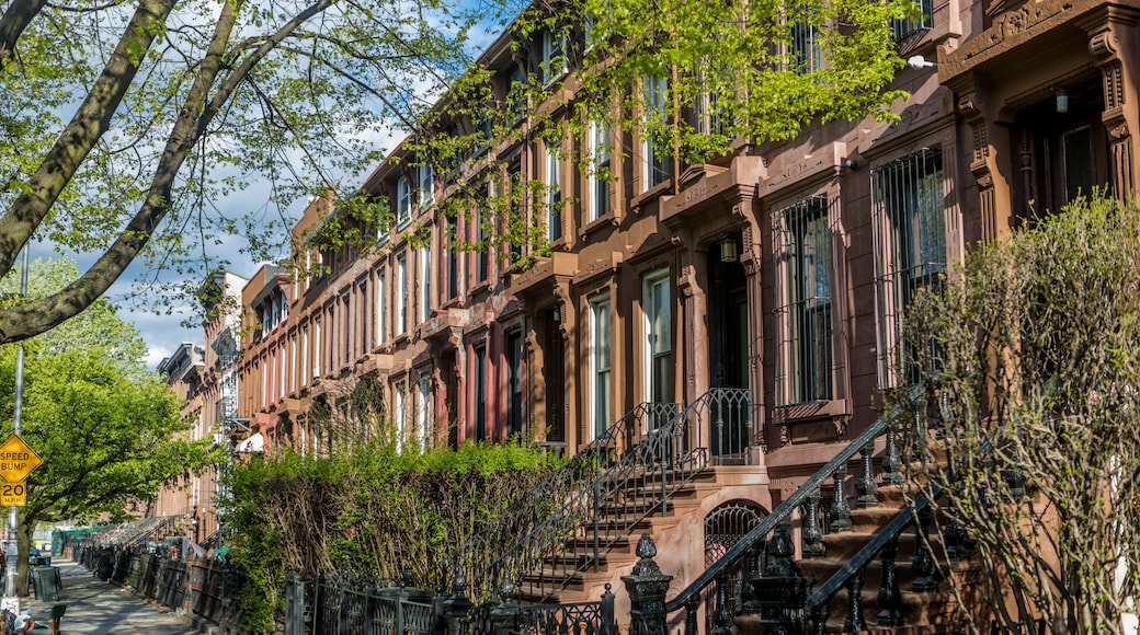Brownstone Rowhouse Residences in Bedford-Stuyvesant or BedStuy in Brooklyn