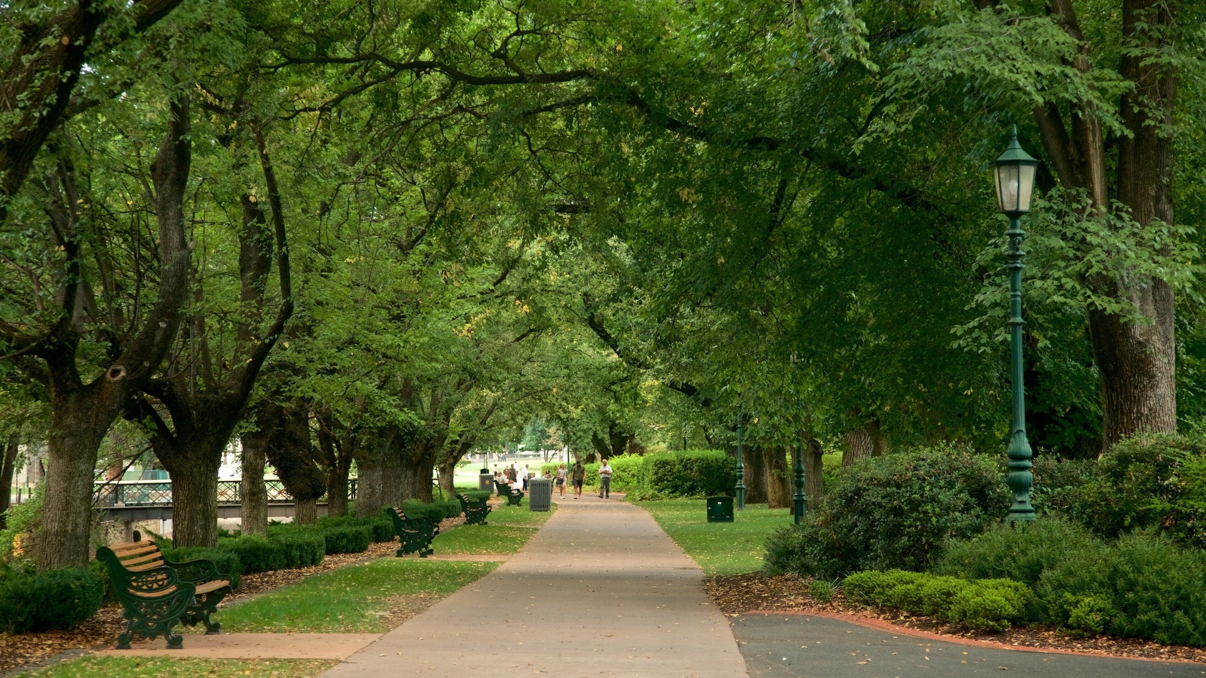 Công viên Rosalind cho thấy công viên