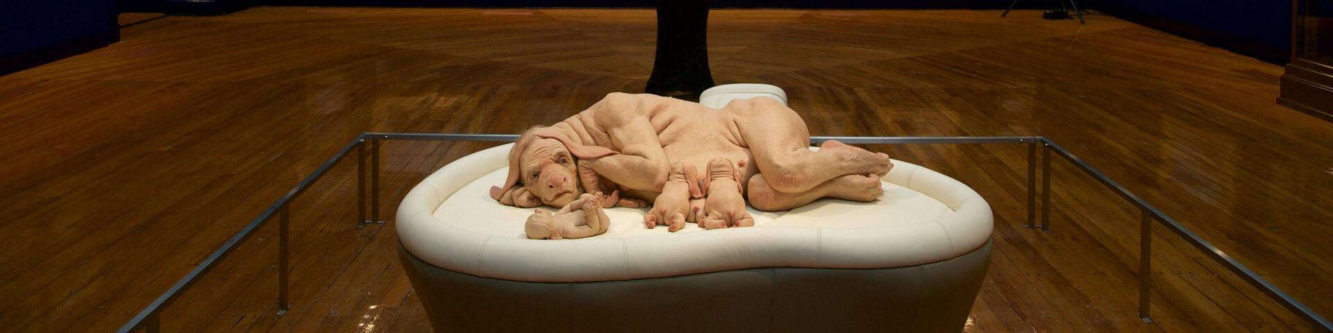 Bendigo Art Gallery ofreciendo vistas interiores