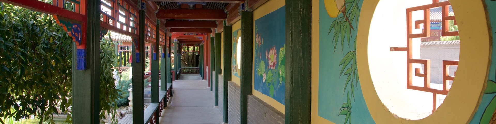 Golden Dragon Museum featuring heritage elements