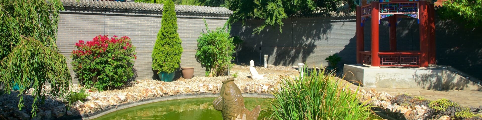 Golden Dragon Museum featuring a garden