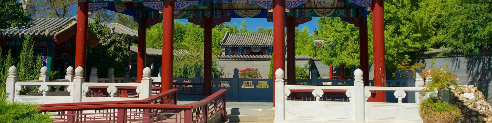 Golden Dragon Museum showing heritage elements