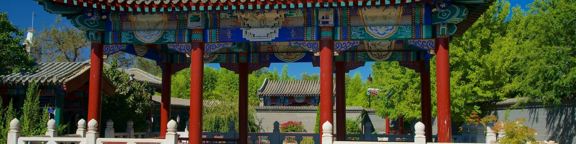 Golden Dragon Museum mostrando elementos de patrimônio