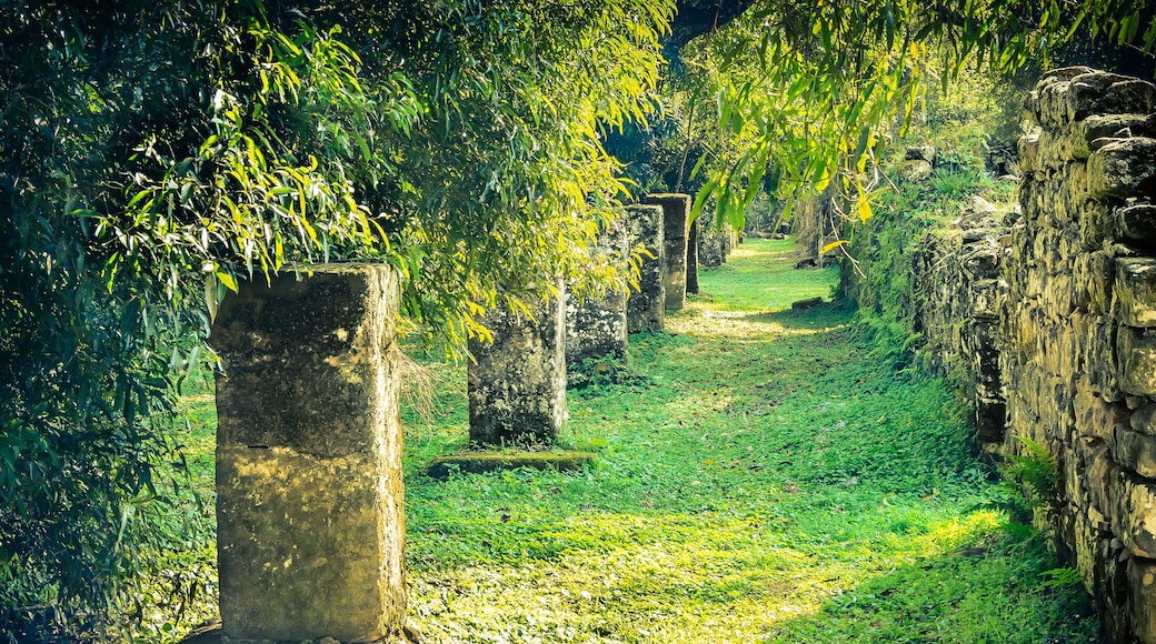 ヴィッラ サン ロレンソ