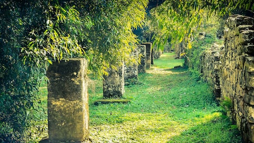 Jesuit Mission Ruins at San Ignacio Mini, Argentina (UNESCO World Heritage)