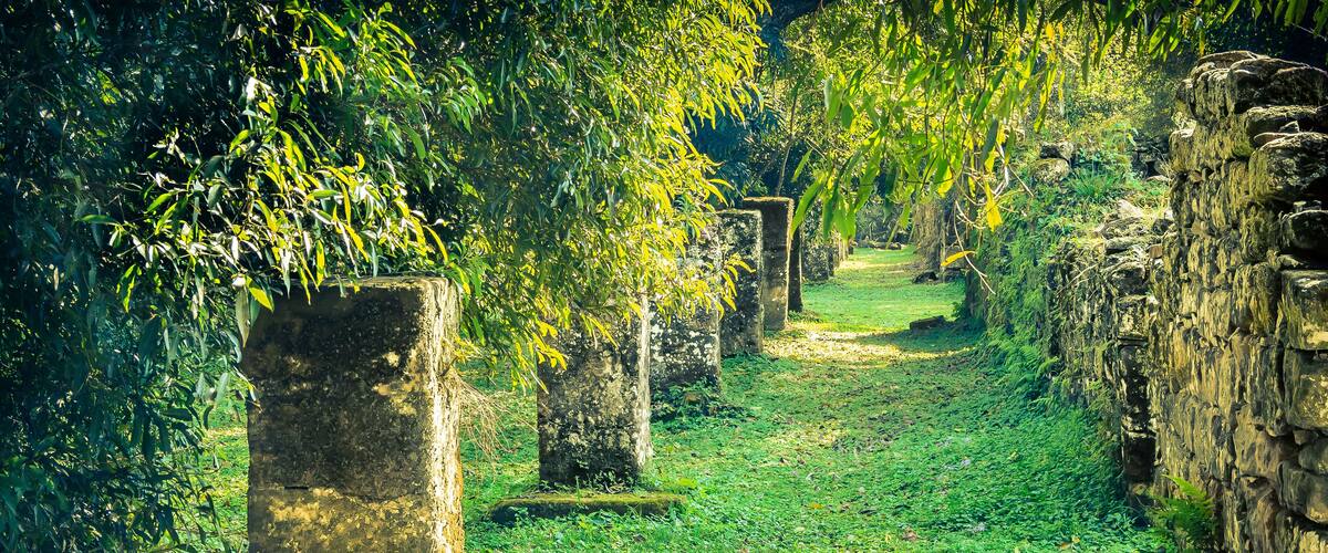 A pathway lined with stone pillars and lush greenery.