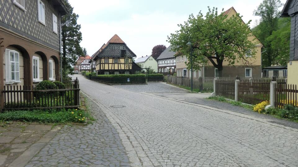 A cobblestone street lined with traditional half-timbered houses and a tree.