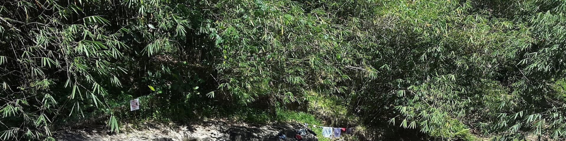 It's a very nice homey place .