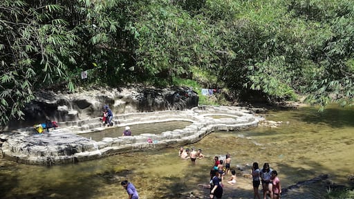 It's a very nice homey place .