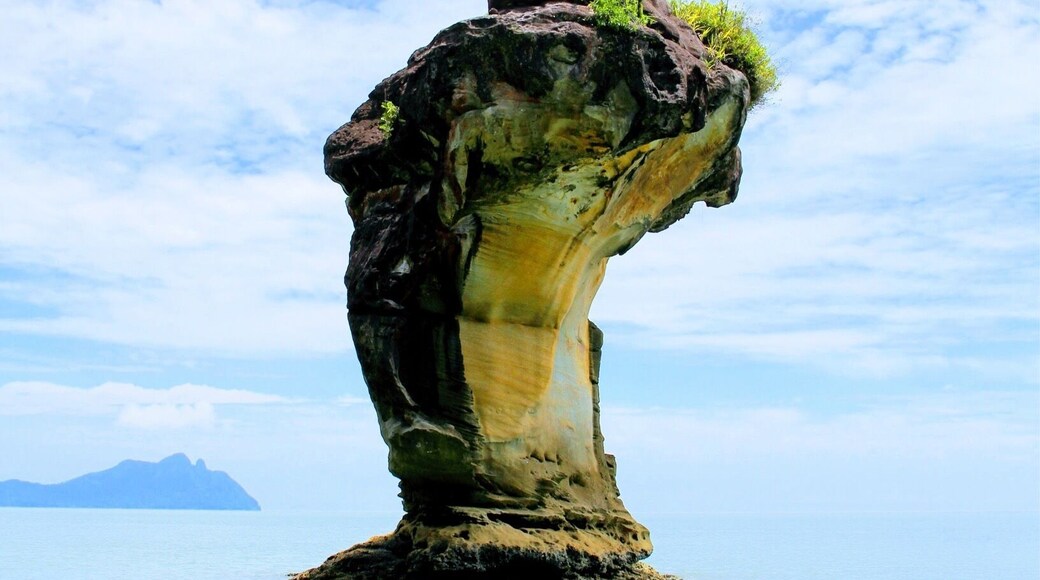 Cobra Head Rock. Nature is amazing 👌