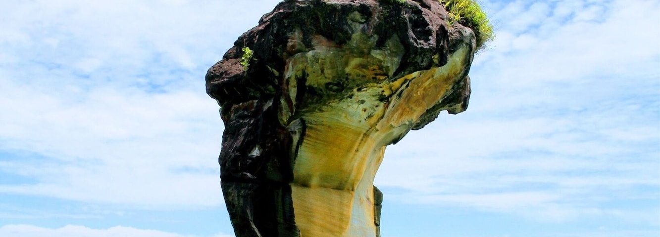 Cobra Head Rock. Nature is amazing 👌