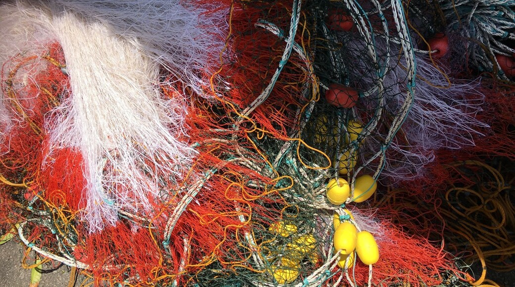 A small fishing village, the locals get fresh fish #Malaysia #Red #redphoto #travel # net