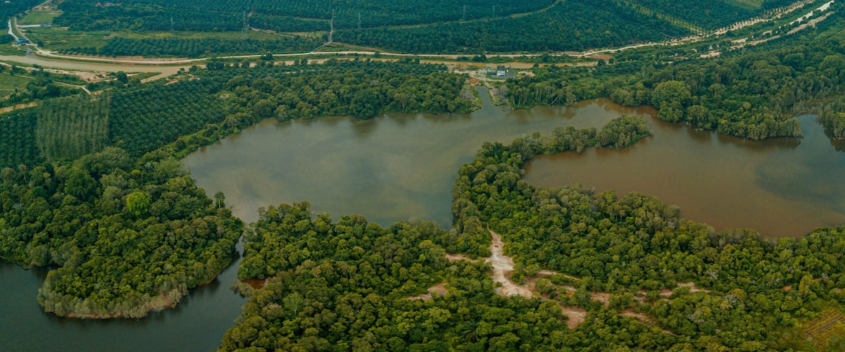 An aerial view of a large lake surrounded by dense forest and a winding road.