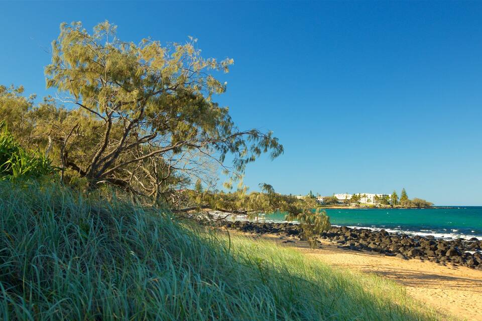 A beach with clear turquoise water, a rocky shoreline, and a tree-lined path.