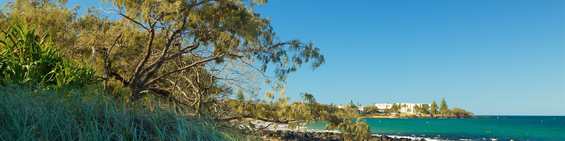 Kelly\'s Beach qui includes cĂŽte rocheuse et vues littorales