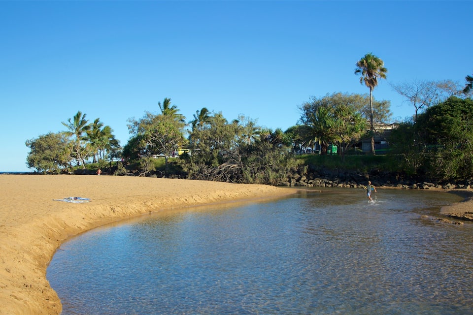A beach with clear water, palm trees, and a person walking.