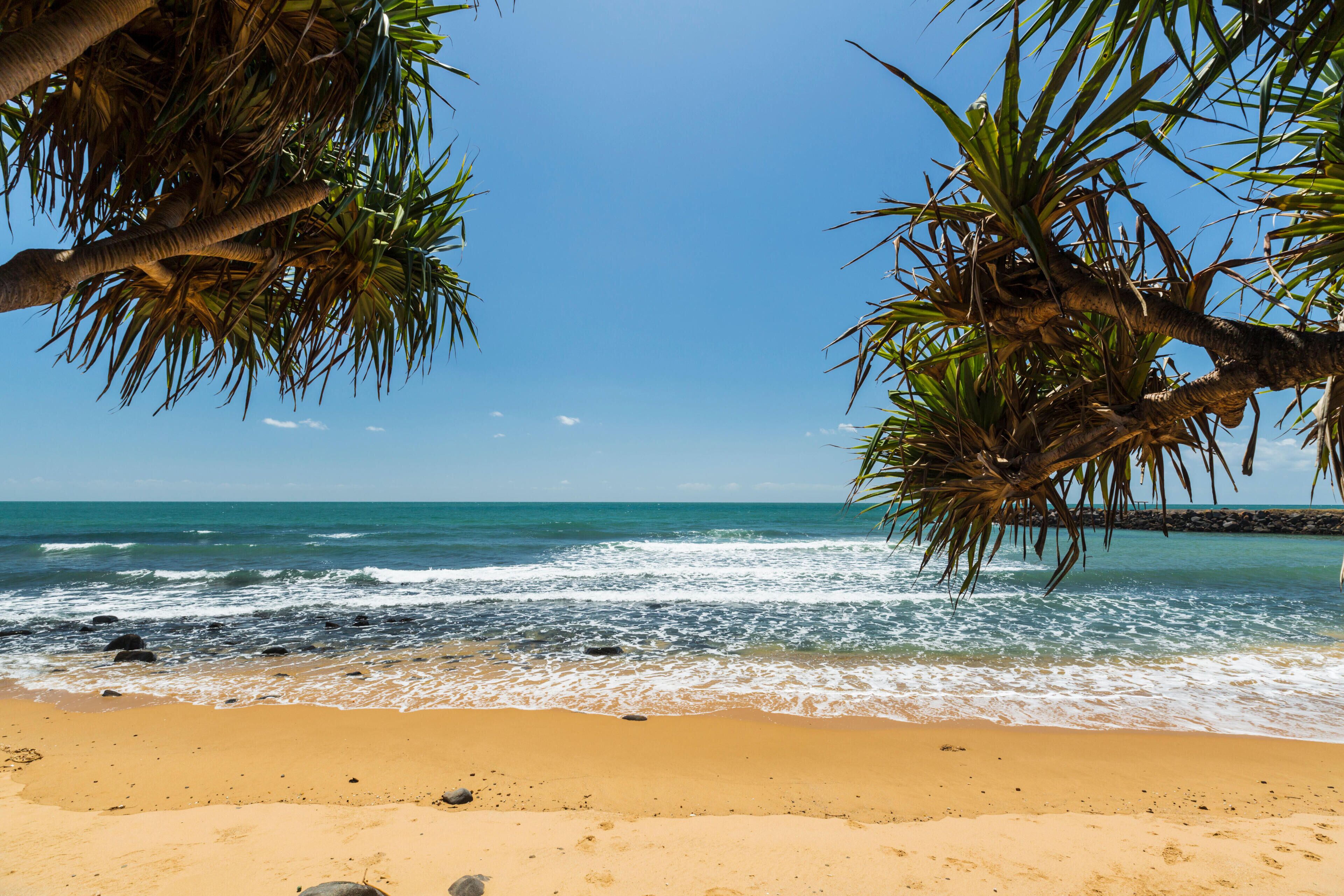 HXB97C View through pandanus palms to the beach at Bargara,  Bundaberg, Queensland, Australia