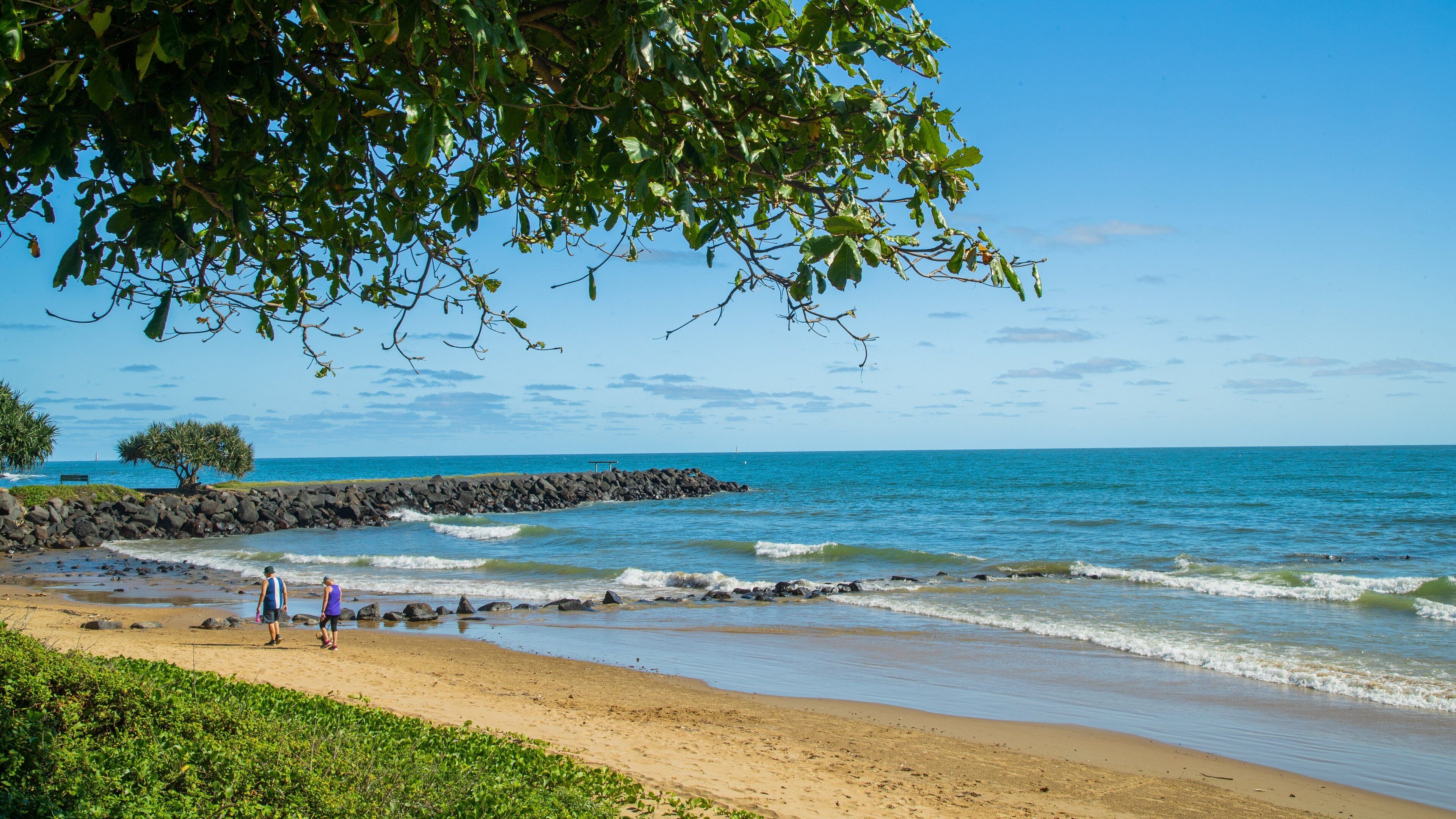 Ein Strand mit Wellen, einem Felssteg und einem Baum.