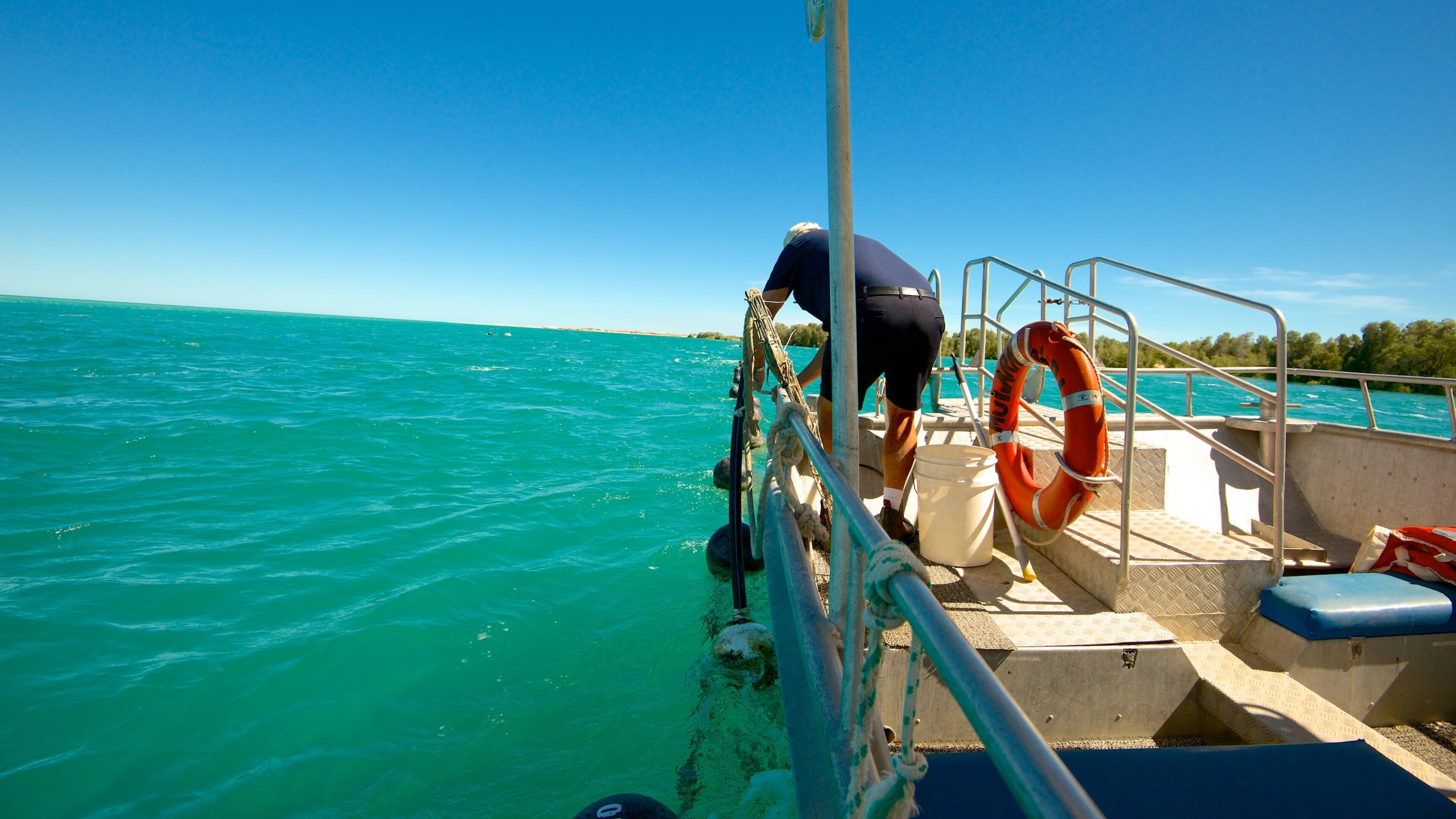ウィリー クリーク真珠養殖場 表示 ボート と 海岸線の眺め