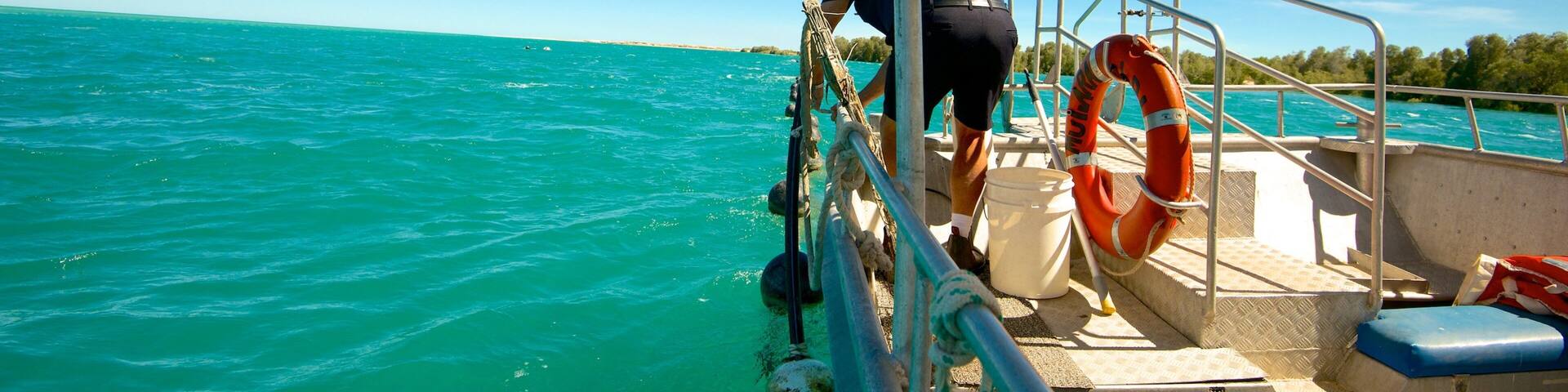 Willie Creek Pearl Farm showing boating and general coastal views