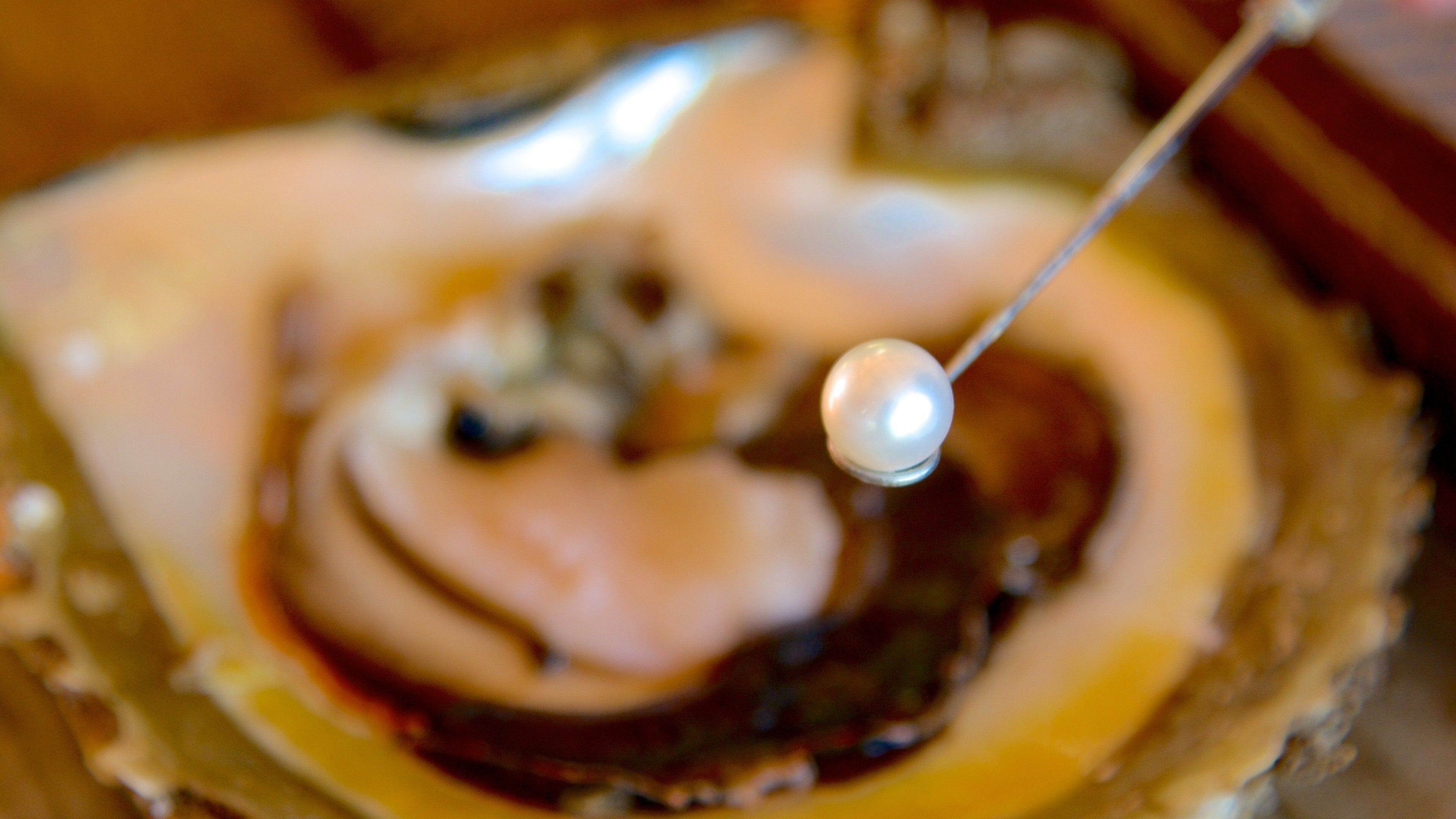 Willie Creek perlefarm som inkluderer innendørs